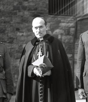 Eight falsely accused bishops (and archbishops) in Ireland